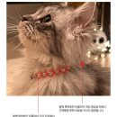 (주)다온티에프지 이미지