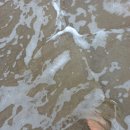 영일대스테이 이미지