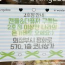 이상한나라의은가비