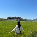 경주샌드분황사점 | 경주 당일치기/ 분황사 청보리밭 황리단길 이치니산도 우마왕 컵물회 십원빵 대릉원 백년손님 두낫...