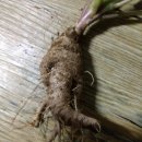 덕수니네 이미지