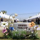 부산광역시 영도구 해양로 | 2026 글로벌 영도 커피페스티벌 즐거웠던 후기