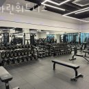 팀마린 휘트니스 네이버블로그