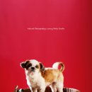 럭셔리포토 이미지