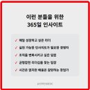인사이트365