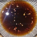 구암동380 | [대구 칠곡][청년양고기] 분위기 좋은 양고기 맛집