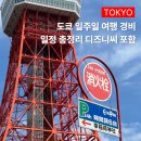 뉴프린스호텔 | 도쿄 6박 7일 여행 경비 총정리 호텔 3곳 디즈니씨 포함