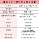 안산우체국(내)