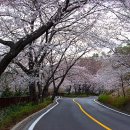 안민고개길 이미지