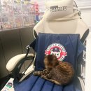 CU 두산베어스 캠프체어 (DOOSAN BEARS) 구입 후기 (Feat. 제발 사진과 설명서를 잘 보고 사자★)