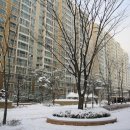 연수리슈빌 이미지