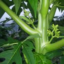 중하농장 이미지