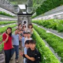 가북초등학교 이미지