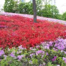 호계공원 이미지