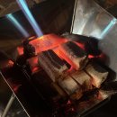 에코카 | 캠핑 바비큐 고기 맛있게 굽는 비밀! 육즙 가두는 숯 에코카보닝 대나무숯 후기