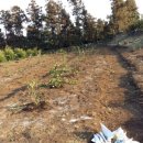 영희농장2 이미지