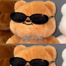 멍털도둑 | 2025, 12월의 일상