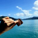 (주)위트메디컬투어 | 화이트헤이븐비치 위트선데이 투어 추천 | 실제 경험담