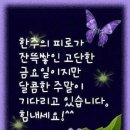 금강베스트공인중개사사무소 이미지