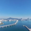 용호동 섶자리 이미지