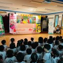 숲속의 아일랜드유치원 이미지