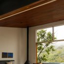 캐빈(Cabin)