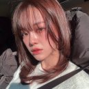 다은니트 이미지