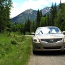 (유)알리고렌트카 이미지