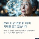 강진군 노인복지센터 | 65세 이상 10명 중 1명 치매…, 순천주간보호센터_노인복지센터가 예방책입니다.