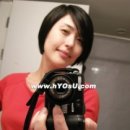 김효수 카카오 검색결과