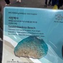 블루자 | [제주여행] 최애 해변에서 힐링 l 고기국수 맛집 l 김녕해변 l 월정리 해수욕장 l 고사리 육개장 l 유채...