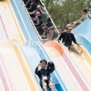 대진 윙 태권도 이미지