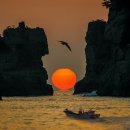 민국 행정사 이미지