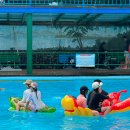 황금수영장 | 평택 황금수영장 취사가능 수영장｜아이들과 물놀이부터 삼겹살·백숙까지
