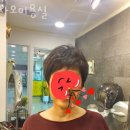 자오헤어 이미지