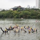 2022남구청장배 생활체육 태화강 십리 수영대회(15) 이미지