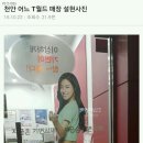 천안 어느 T월드 매장 설현사진 이미지