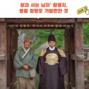 다래골가든 | 2026년 봄 여행 강추! 영화 '왕과 사는 남자' 촬영지, 영월 청령포 가볼만한 곳 추천 (@맛집, 숙소)