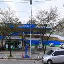 영월농협주유소 이미지