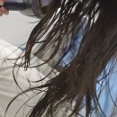 뉴샴푸 | 뉴 피토페시아 샴푸 약산성 카페인 샴푸 두피 탈모 솔직 후기