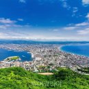 (주)호텔롯데 롯데시티호텔대전 이미지