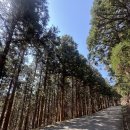 억새2축구장 | 🍂 은빛 억새 물결 따라! 부산 승학산 등산코스 추천