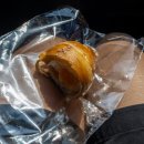 하야리아 | 부산 부전 시민공원 맛집 하야리아 제빵소 소금빵, 크루아상 후기 Hialeah