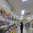 빵꾸똥꾸문구야청주비하리슈빌점