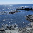 정가네흑돼지 이미지