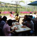 진안중학교 이미지