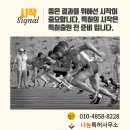 지인특허법률사무소