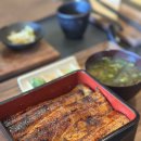 신의한모 제주도 애월맛집 추천 동경밥상 장어덮밥 폼 미쳤다 (구 <b>신의</b><b>한</b><b>모</b>)