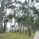 금일해당화해변 이미지