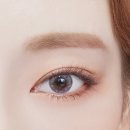 렌즈베리 이미지